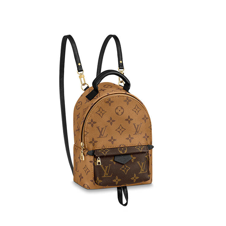 LV Palm Springs Mini Backpack 