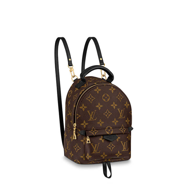 LV Palm Springs Mini Backpack