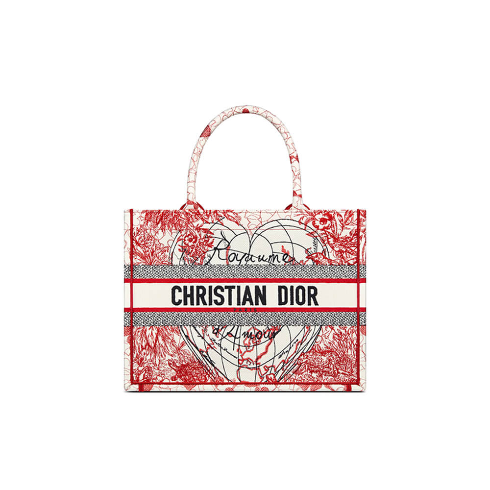 SMALL DIOR BOOK TOTE 