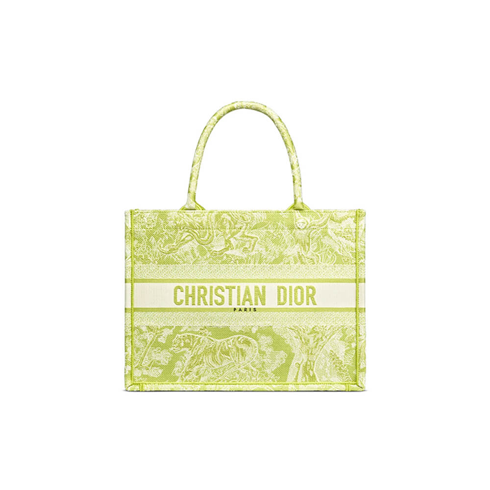 SMALL DIOR BOOK TOTE 