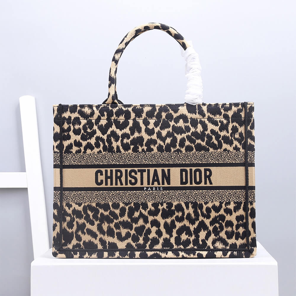 SMALL DIOR BOOK TOTE 