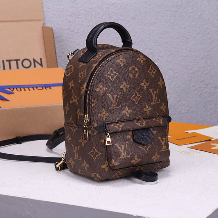 LV Palm Springs Mini Backpack 