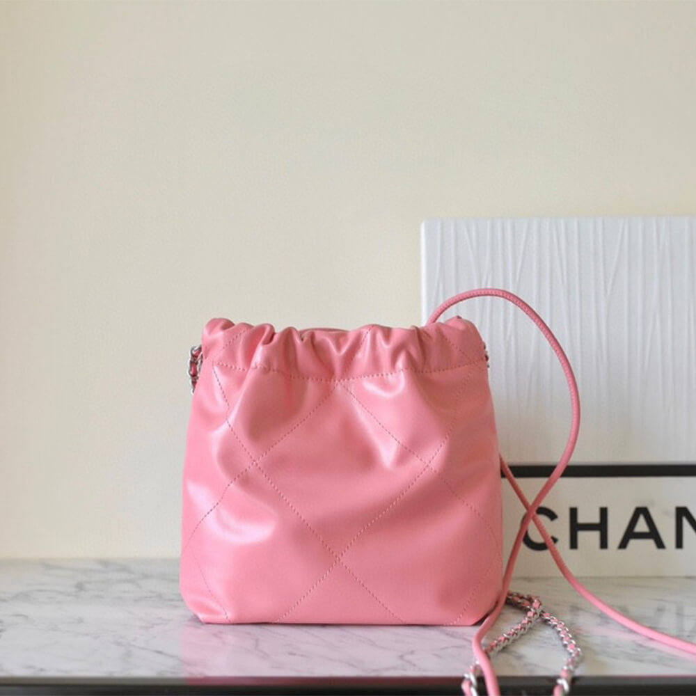 Ch*el 22 mini handbag