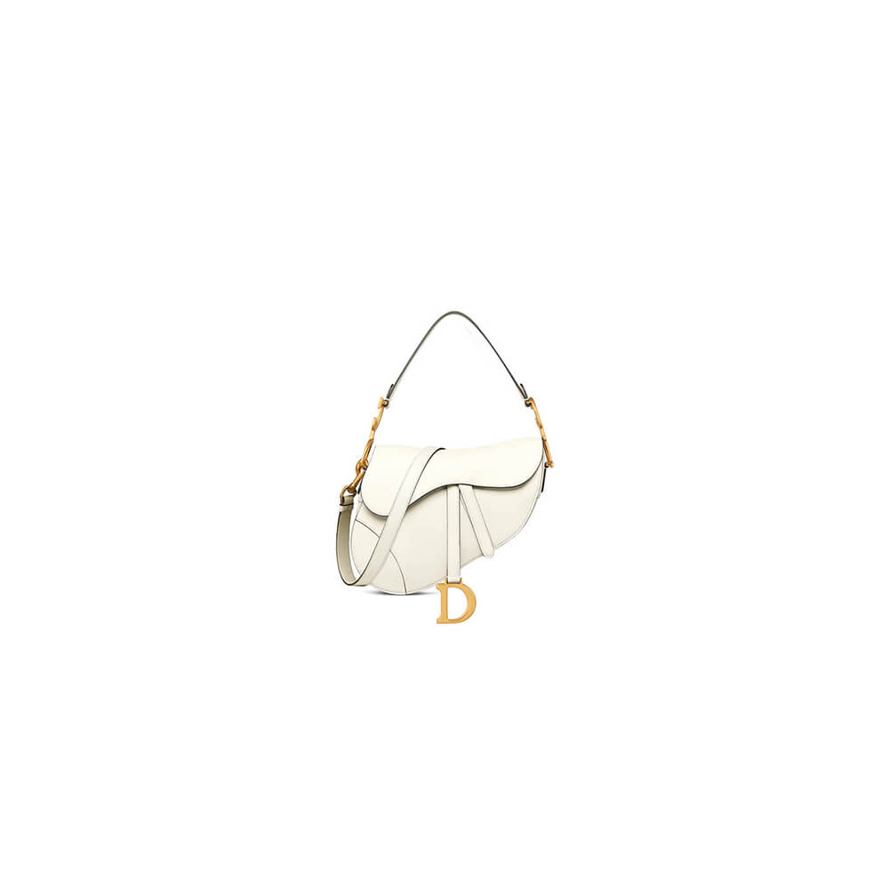 Dior Saddle Bag with Strap 