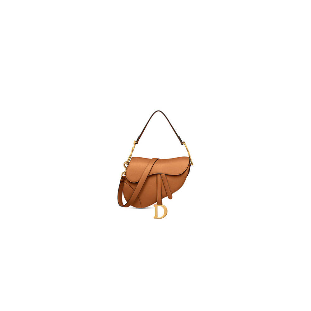 Dior Saddle Bag with Strap 