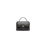 Chanel Maxi Flap Bag With Top Handle(high-end grade)
