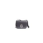 Goyard 233 bag