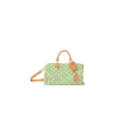 LV Speedy P9 Bandoulière 40(high-end grade)