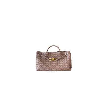 Bottega Veneta East-West Andiamo(HIGH-END GRADE)