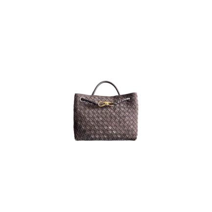 Bottega Veneta Medium Andiamo(HIGH-END GRADE)