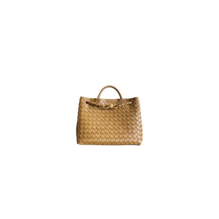Bottega Veneta Medium Andiamo(HIGH-END GRADE)