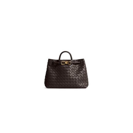Bottega Veneta Medium Andiamo(HIGH-END GRADE)