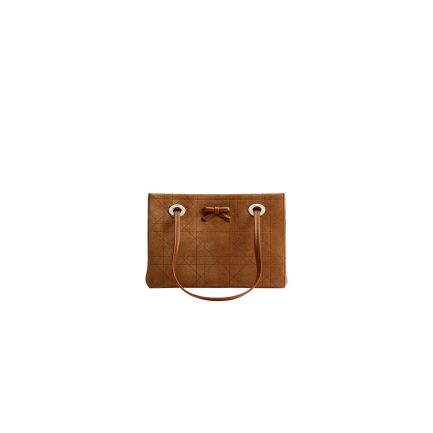 Small Dior Promenade Shopping Bag(HIGH-END GRADE)